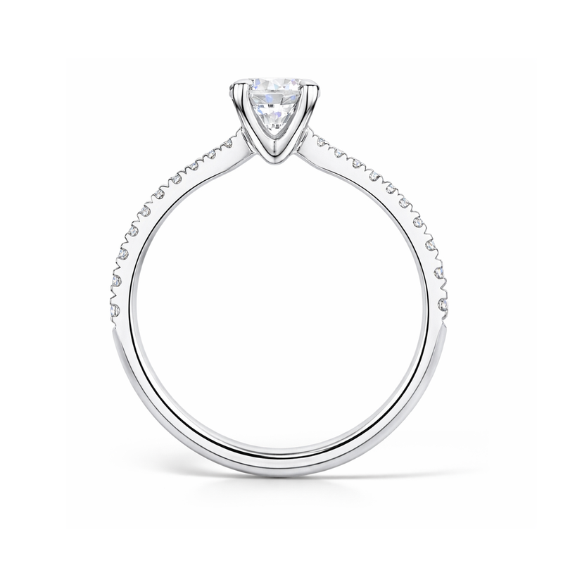 9ct White Gold 0.33ct  Round Brilliant Cut Natural Diamond Talon Claw Set Ring