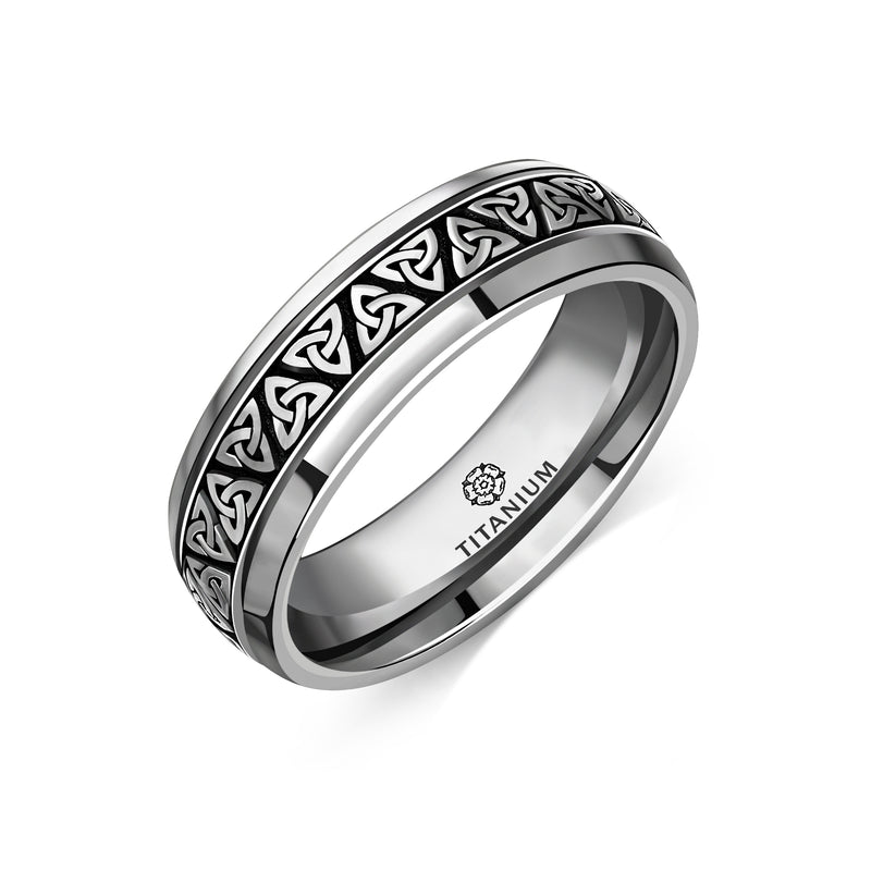 Titanium Trinity Domed Court Ring