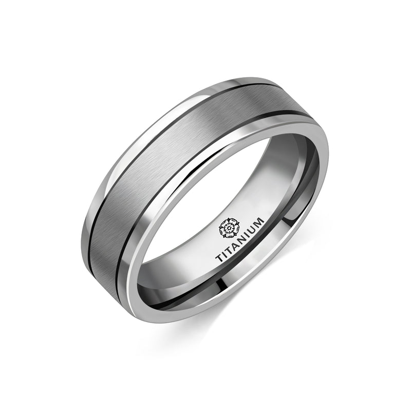 Titanium Twin Finish Flat Court Ring